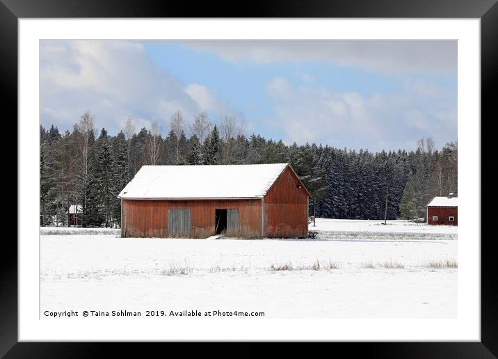 Red Barn in Winter Framed Mounted Print by Taina Sohlman