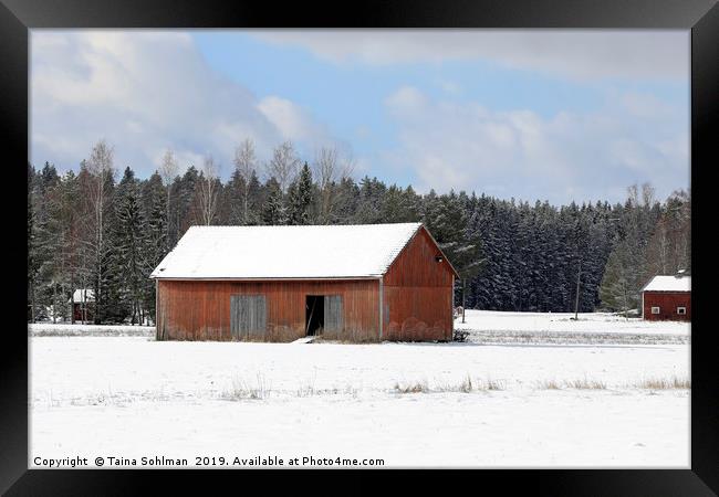 Red Barn in Winter Framed Print by Taina Sohlman