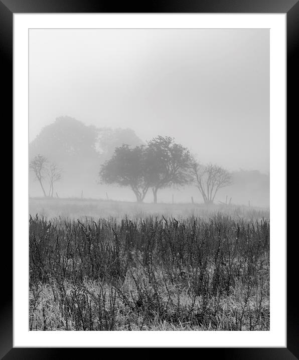 Early Morning Mist Framed Mounted Print by Antony McAulay