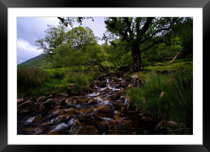 Lake District stream running into Buttermere Framed Mounted Print by Jules Taylor