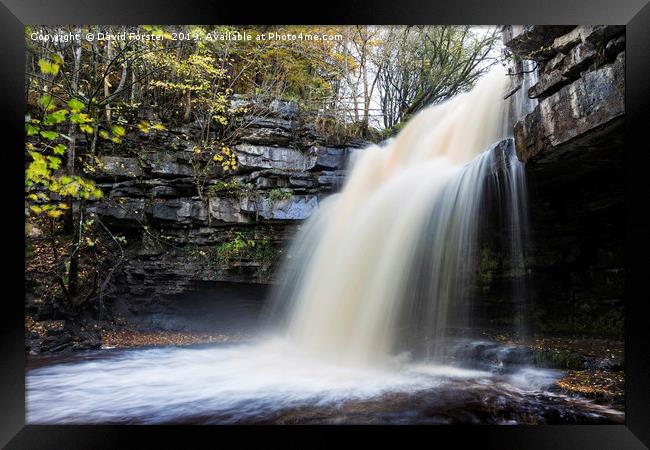 Summerhill Force and Gibson's Cave in Autumn Framed Print by David Forster