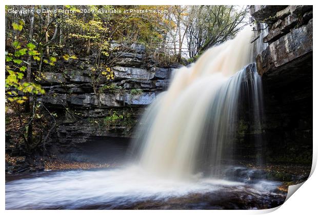 Summerhill Force and Gibson's Cave in Autumn Print by David Forster