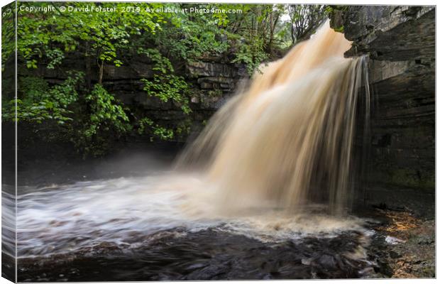 Summerhill Force and Gibson’s Cave, Teesdale, Coun Canvas Print by David Forster