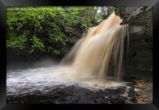 Summerhill Force and Gibson’s Cave, Teesdale, Coun Framed Print by David Forster