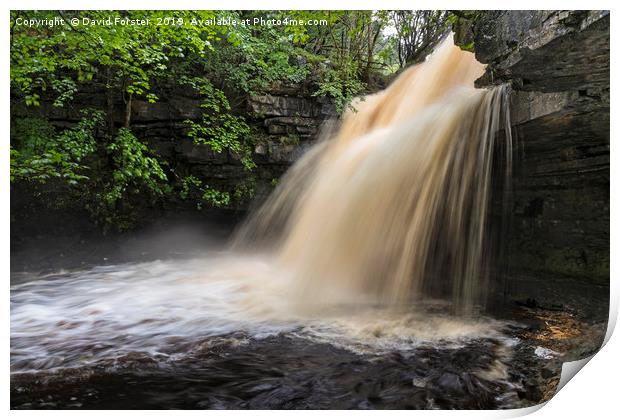 Summerhill Force and Gibson’s Cave, Teesdale, Coun Print by David Forster