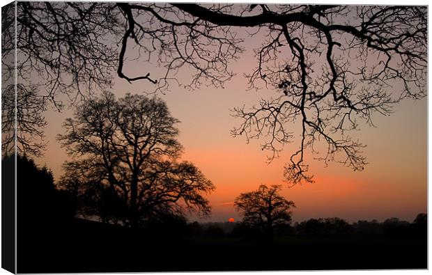 Sunset through the Trees Canvas Print by Pete Hemington