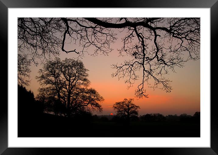 Sunset through the Trees Framed Mounted Print by Pete Hemington