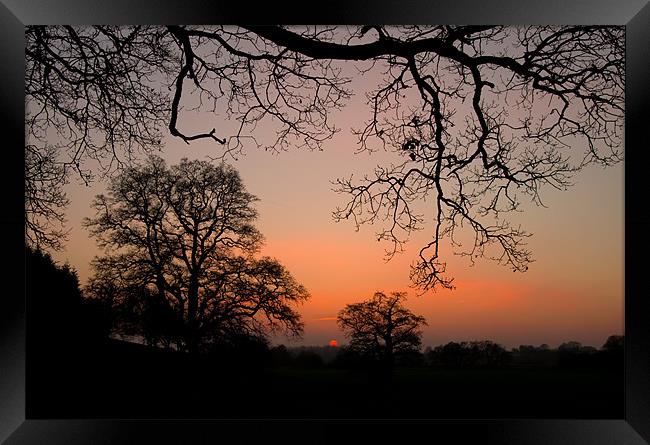 Sunset through the Trees Framed Print by Pete Hemington