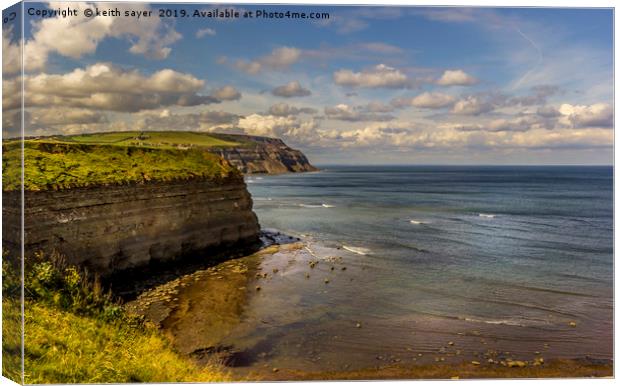 Boulby Cliffs North Yorkshire Canvas Print by keith sayer