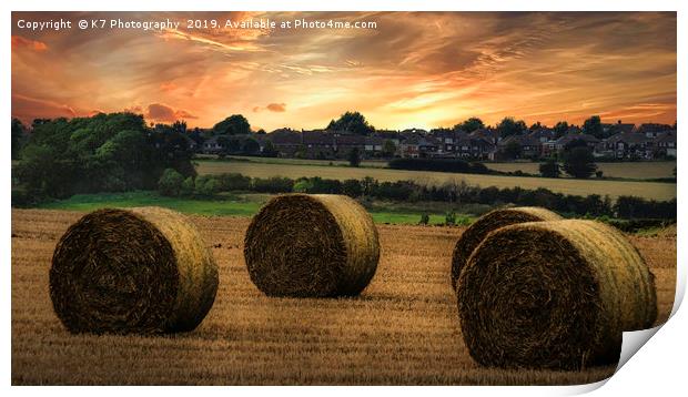 Bringing in the Harvest  Print by K7 Photography