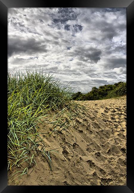 Sand dune Framed Print by Brian Beckett