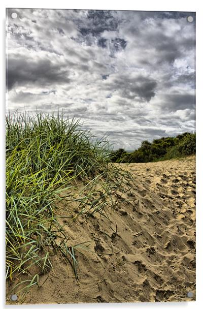 Sand dune Acrylic by Brian Beckett