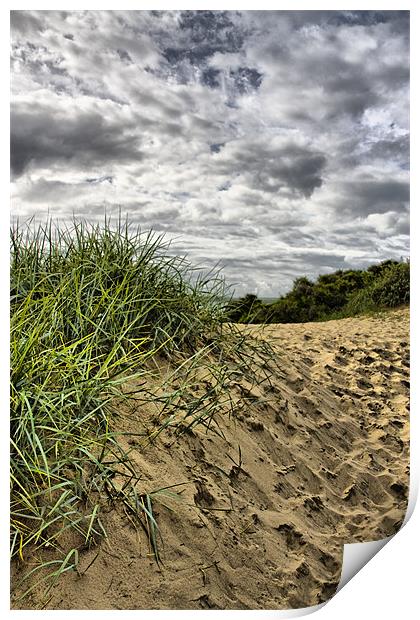 Sand dune Print by Brian Beckett