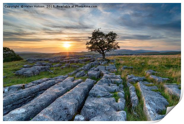 Sunset over a lonely windswept Hawthorn tree on a  Print by Helen Hotson