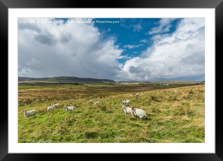 Towards Widdybank and Cronkley Under a Big Sky Framed Mounted Print by Richard Laidler