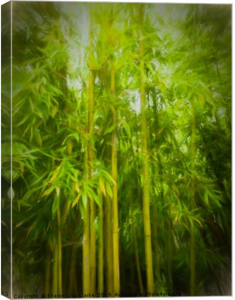 Bamboo Canvas Print by Sharon Lisa Clarke