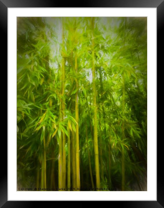 Bamboo Framed Mounted Print by Sharon Lisa Clarke