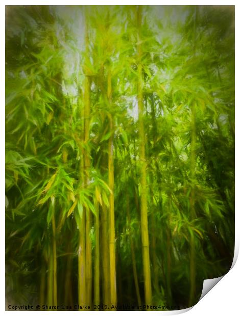 Bamboo Print by Sharon Lisa Clarke