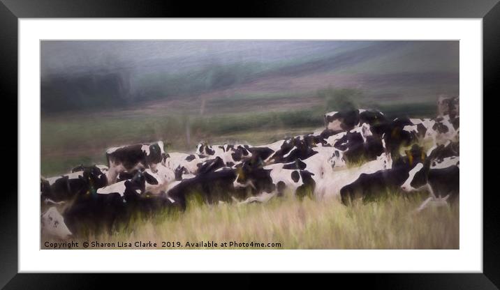 Cows at rest Framed Mounted Print by Sharon Lisa Clarke