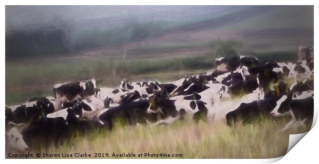 Cows at rest Print by Sharon Lisa Clarke