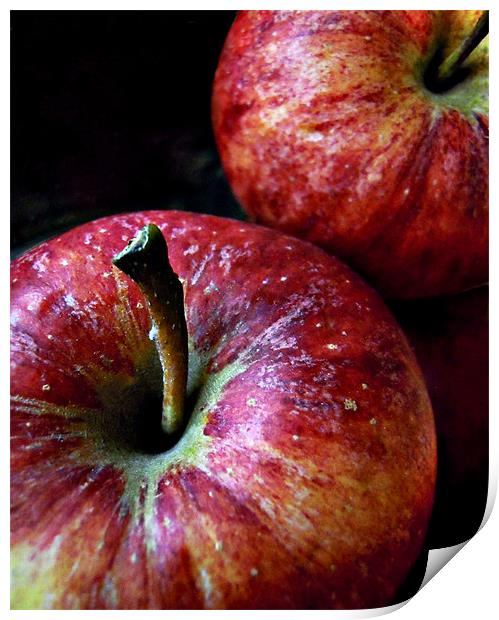 apples Print by Heather Newton