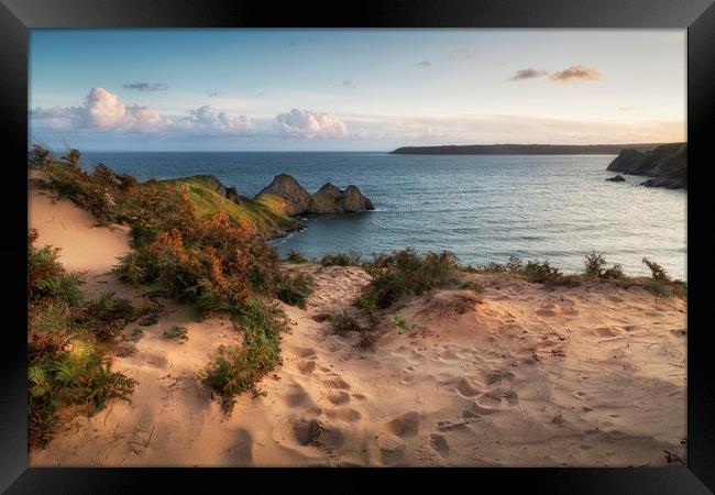 The sand dunes overlooking Three Cliffs Bay Framed Print by Leighton Collins