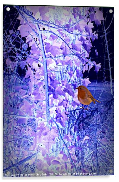 A Chilly Day for Robin Acrylic by Heather Goodwin