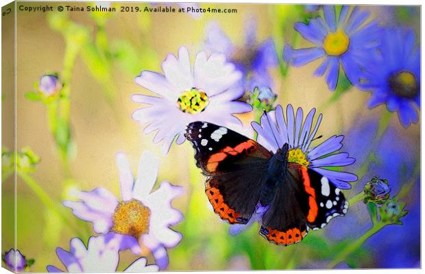 Red Admiral Butterfly on Flowers Canvas Print by Taina Sohlman