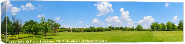 panorama of green lawn field and trees. Canvas Print by Florin Brezeanu