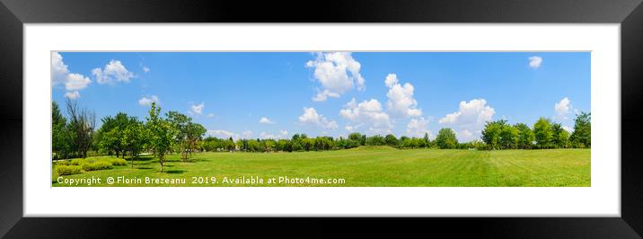 panorama of green lawn field and trees. Framed Mounted Print by Florin Brezeanu