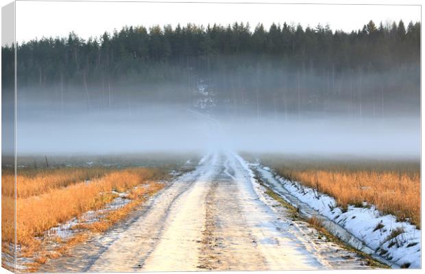 White Fog over Rural Road  Canvas Print by Taina Sohlman