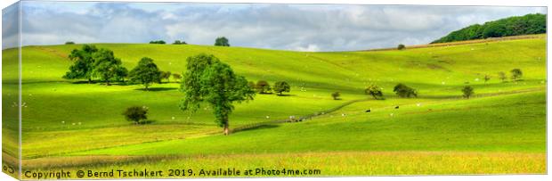 Yorkshire Dales hills and pasture, England, UK Canvas Print by Bernd Tschakert