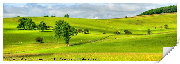 Yorkshire Dales hills and pasture, England, UK Print by Bernd Tschakert