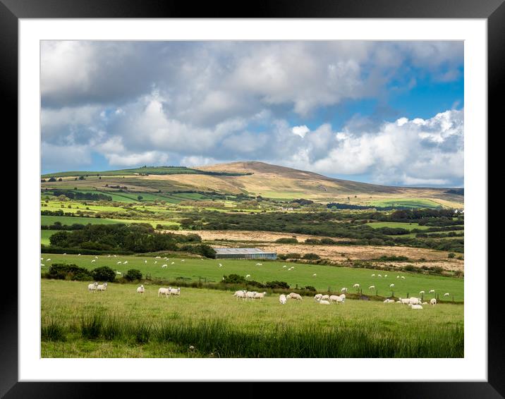 Preseli Hills, Pembrokeshire, Wales. Framed Mounted Print by Colin Allen