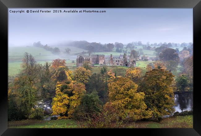 Autumn, Egglestone Abbey, Teesdale, County Durham Framed Print by David Forster