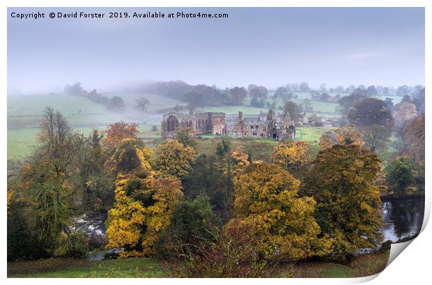 Autumn, Egglestone Abbey, Teesdale, County Durham Print by David Forster