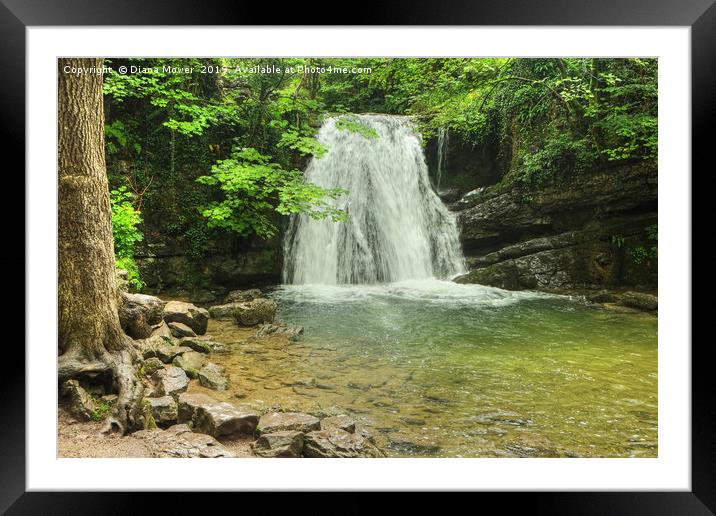  Janets Foss Waterfall Malham Framed Mounted Print by Diana Mower