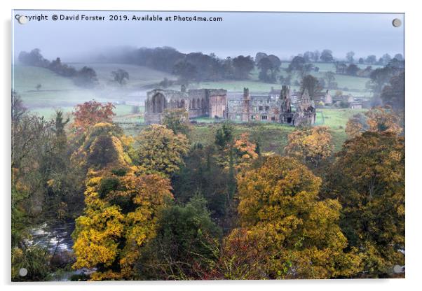 Autumn Colours Egglestone Abbey, Barnard Castle, T Acrylic by David Forster
