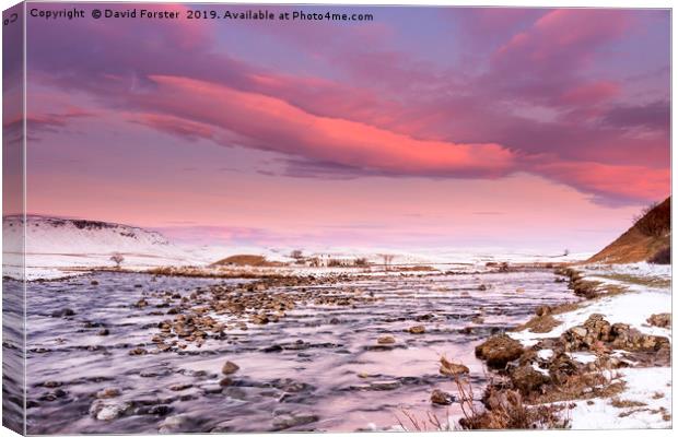 North Pennine Winter Dawn Upper Teesdale Canvas Print by David Forster