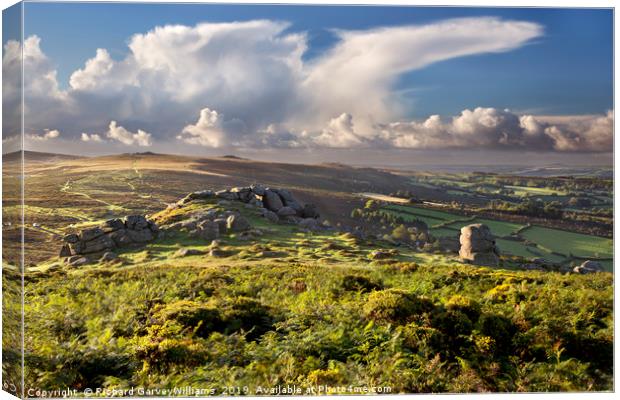 View of Bell Tor in Dartmoor National Park Canvas Print by Richard GarveyWilliams
