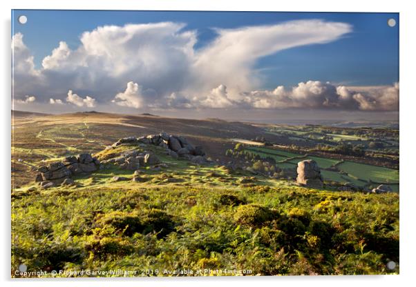 View of Bell Tor in Dartmoor National Park Acrylic by Richard GarveyWilliams
