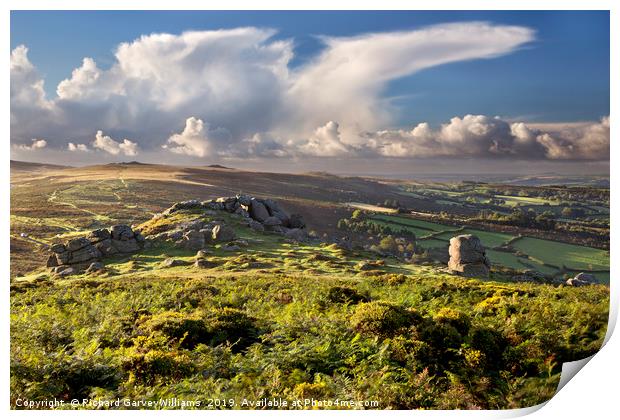 View of Bell Tor in Dartmoor National Park Print by Richard GarveyWilliams