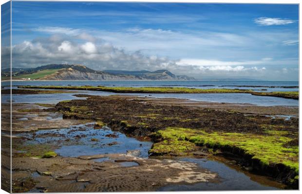 Lyme Bay at Low Tide                      Canvas Print by Darren Galpin