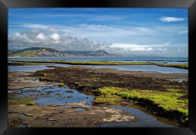 Lyme Bay at Low Tide                      Framed Print by Darren Galpin