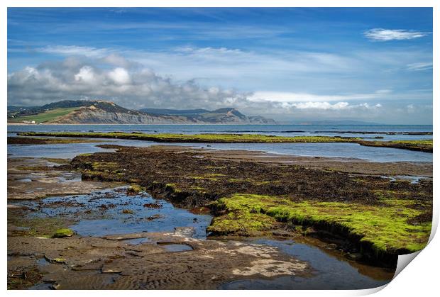 Lyme Bay at Low Tide                      Print by Darren Galpin