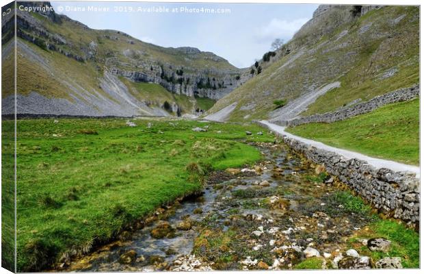 Gordale Scar and beck Yorkshire Canvas Print by Diana Mower