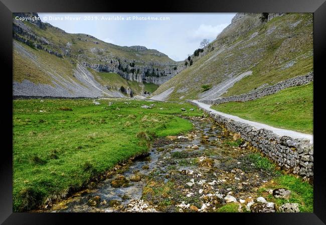 Gordale Scar and beck Yorkshire Framed Print by Diana Mower