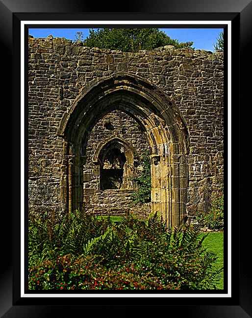 Through the ruins Framed Print by Craig Coleran