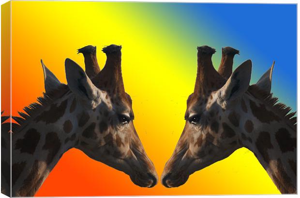 Giraffes Canvas Print by Peter Elliott 
