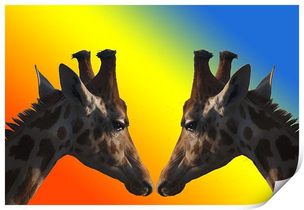 Giraffes Print by Peter Elliott 
